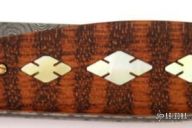 Slender Tear - Diamondback Rattlesnake