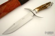 Wapiti S-Guard Bowie