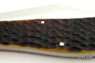 Arkansas Hunter (#3)