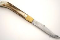 Moose Antler Slipjoint