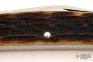 Half Congress Folder (#8)