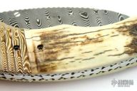 Damacus & Mammoth Ivory D/A