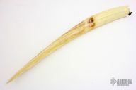 Alaskan Walrus Tusk - Scrimshaw