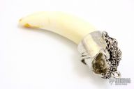 Alligator Tooth Pendant