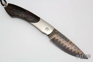 B12 - 1107 Island Palm