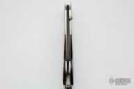 B12 - 1107 Island Palm