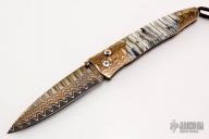 B30 Scarborough - Special Edition