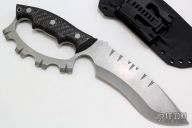 Beast D Guard Fighter