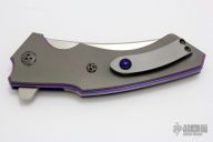 Black Dolphin Flipper