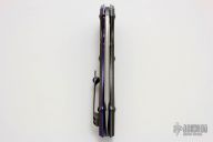 Black Dolphin Flipper