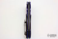 Black Dolphin Flipper