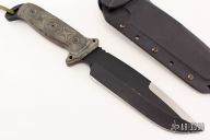 Black Eagle Strike Team (BEST)