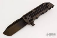 Black Stallion WarHorse