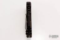 Black Stallion WarHorse