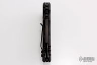 Black Stallion WarHorse