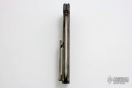 Bluephin Flipper - Full Ti