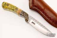 Box Elder Burl Hunter