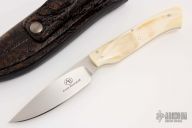 Bush Baby, 20th Anniversary with Warthog Ivory