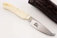 Bush Baby, 20th Anniversary with Warthog Ivory