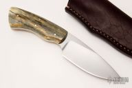 Bush Baby - Gecko - Giraffe Bone