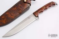 Busse Custom