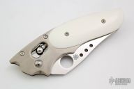 C114WMP Phoenix - Howard Viele Design