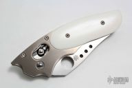 C114WMP Phoenix - Howard Viele Design