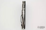 C172CFTIP Domino Flipper