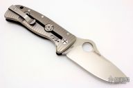 C181GTIP Lil' Lion Spy