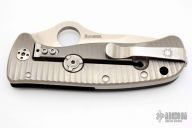 C181GTIP Lil' Lion Spy