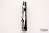 C181GTIP Lil' Lion Spy