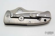 C181GTIP Lil' Lion Spy