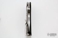 C181GTIP Lil' Lion Spy