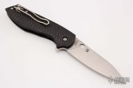C195CFP Positron - Carbon Fiber