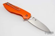 C195GPOR Positron - Orange PLN