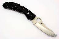 C74GP Ocelot - Wegner Design