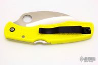 C77SYL Spyderhawk Salt