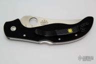 C83GP2 Persian by Ed Schempp