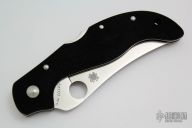 C83GP2 Persian by Ed Schempp