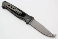 Chameleon D/A Hand-Ground (3/96) #021