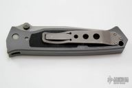 Chameleon D/A Hand-Ground (3/96) #021