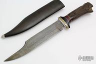 Classic Bowie - Fossilized Bison Bone