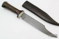 Classic Bowie - Fossilized Bison Bone