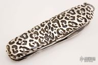 Climber Swiss Army Knife - Modified