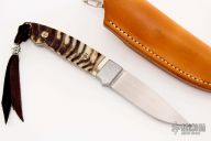 Clip Point Fixed Blade - Big Horn Sheep