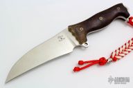 Custom Shop Hawkbill