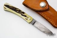 Damascus and Stag Lockback