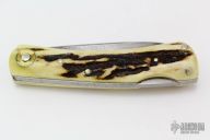 Damascus and Stag Lockback