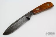 Damascus Fixed Blade