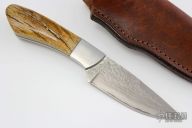 Damascus Fixed Blade